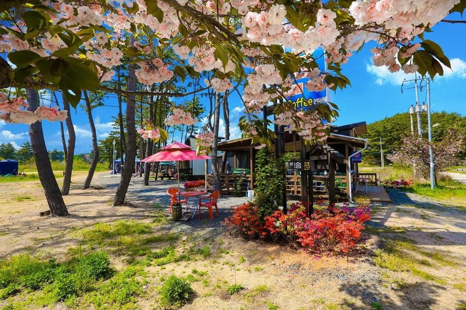 Eueon dolrisom pension Bed and Breakfast in South Korea