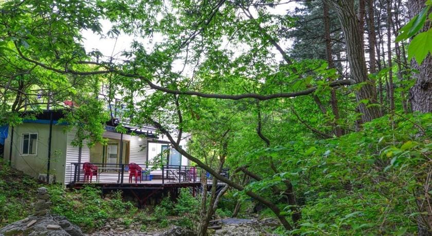 Forest Squirrel Pension Bed and Breakfast in Gyeonggi-do