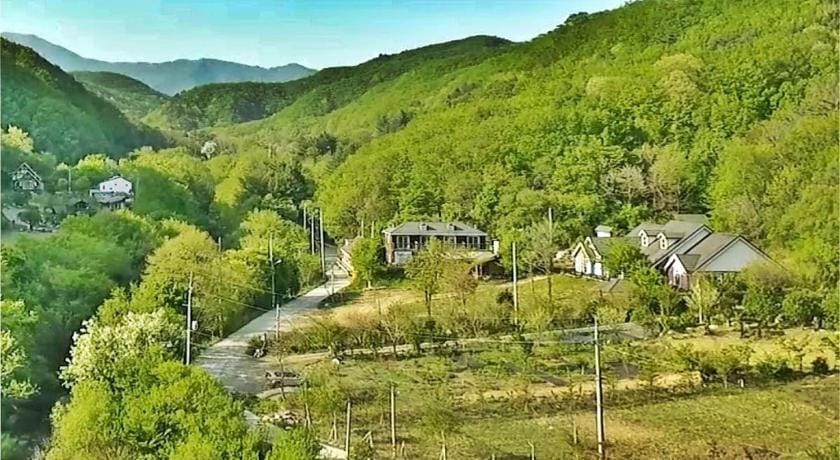 Gangwon Gombaeryeong Evergreen Bed and Breakfast in South Korea