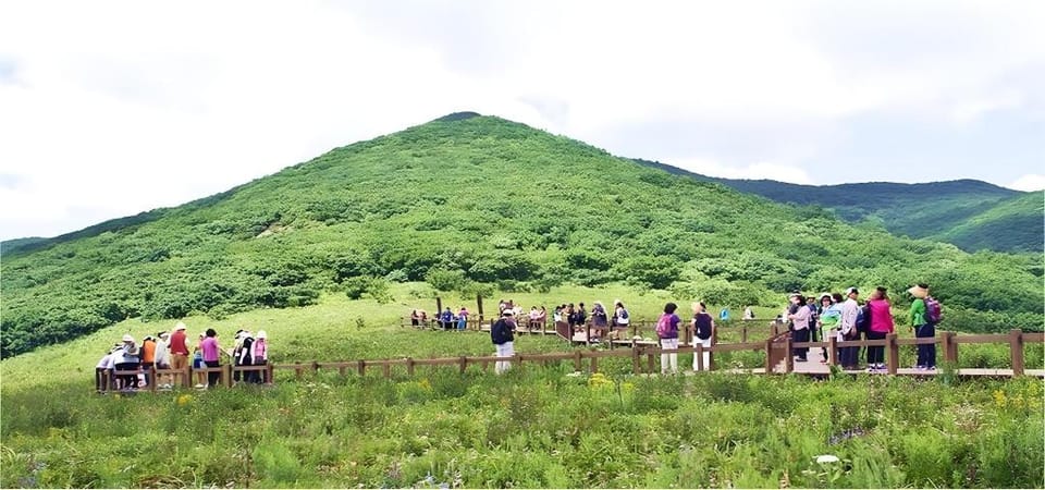 Gangwon Gombaeryeong Evergreen Bed and Breakfast in South Korea