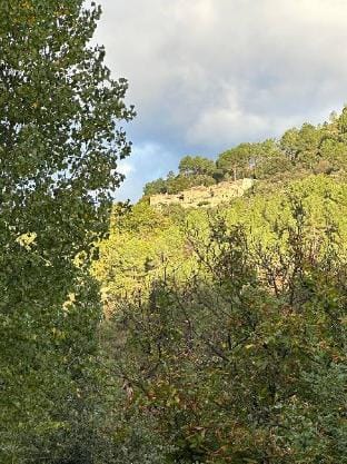 Mas En Cevennes - Art Del Viatge, La Jaa. Apartment in Auvergne-Rhône-Alpes