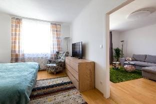 Apartment Rudolfsplatz Apartment in Vienna