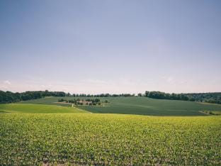 COzy family Limburg Stay Vacation rental in Limburg (province)