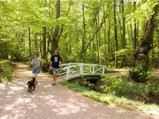 Bad Bentheim Family Retreat Villa in North Rhine-Westphalia