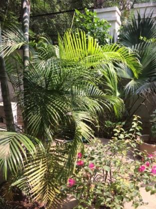 Kailash villa- Cozy and Serene Vacation rental in Pune