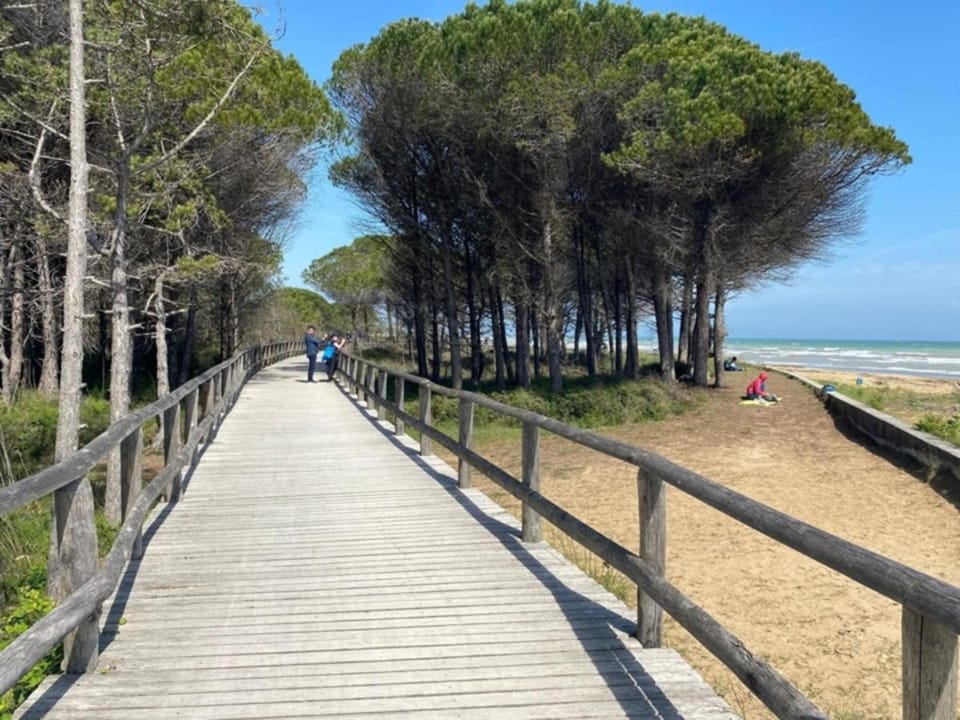 Cozy one-bedroom flat-Beahost Apartment in Bibione
