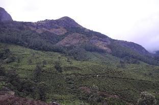 Rima leisure stays Vacation rental in Kerala