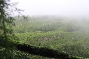 Rima leisure stays Vacation rental in Kerala