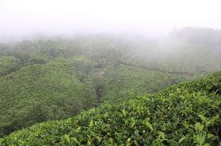 Rima leisure stays Vacation rental in Kerala