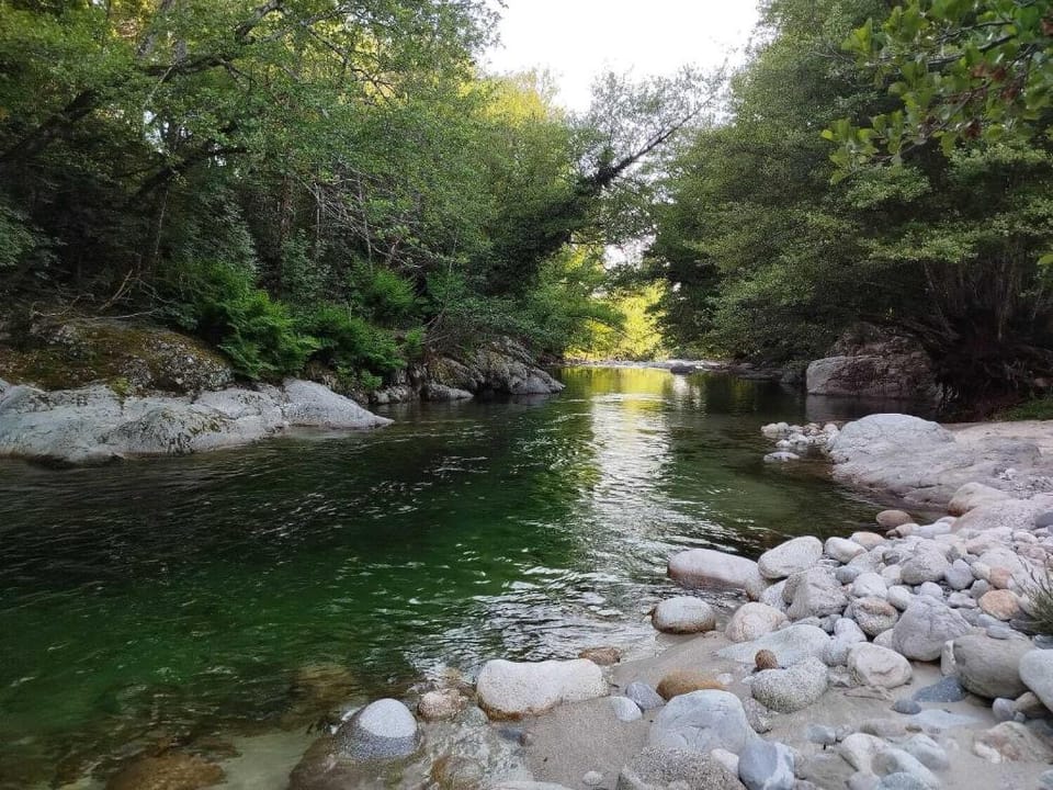 Domaine l Alba Scelta Farm Stay in Corsica