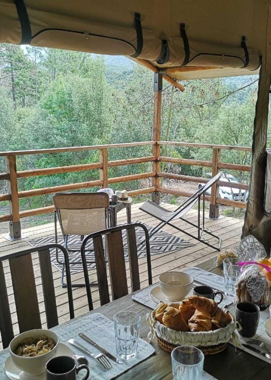 Domaine l Alba Scelta Farm Stay in Corsica