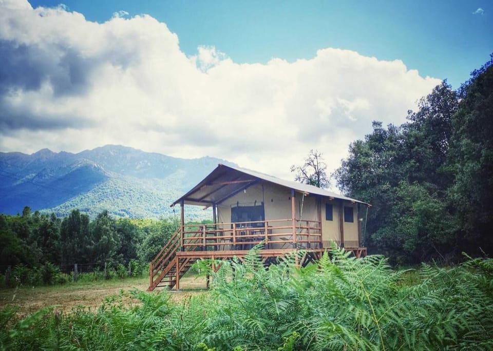 Domaine l Alba Scelta Farm Stay in Corsica