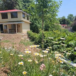 Misty peaks resorts Murree  Apartment in Punjab