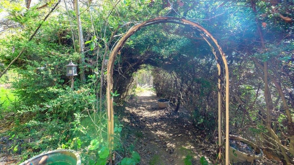 Badasol Fragrance Pension Bed and Breakfast in South Korea