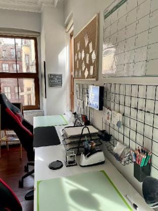 Redecorated Flat Responsive Office Apartment in Istanbul