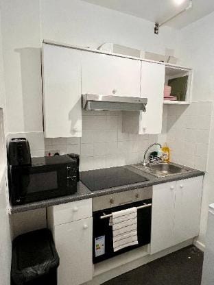 Luxurious 2 Guests studio flat WiFi Free Parking Apartment in Sheffield