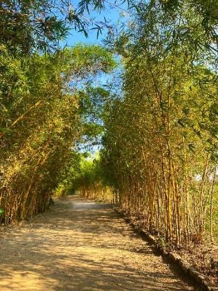 Thanh Chiêm Village Farm Stay in Da Nang