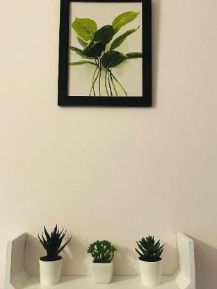 eGardenStay “GuruDham” Vacation rental in Varanasi