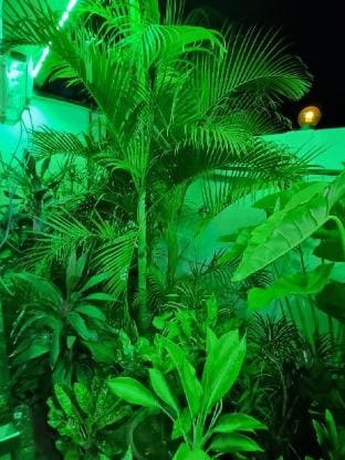 Nilaveli Guest House Villa Vacation rental in Sri Lanka