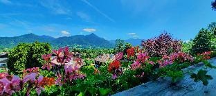 Zum Heisn Familie Gerg Country House in Tyrol