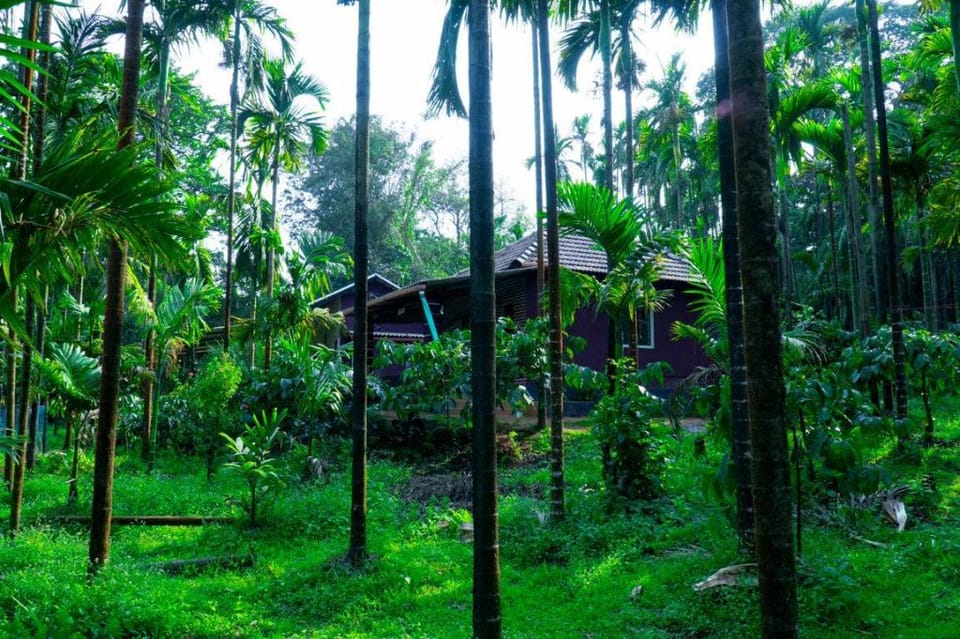 Mithila Nature Stay - Agumbe Homestay Vacation rental in Karnataka