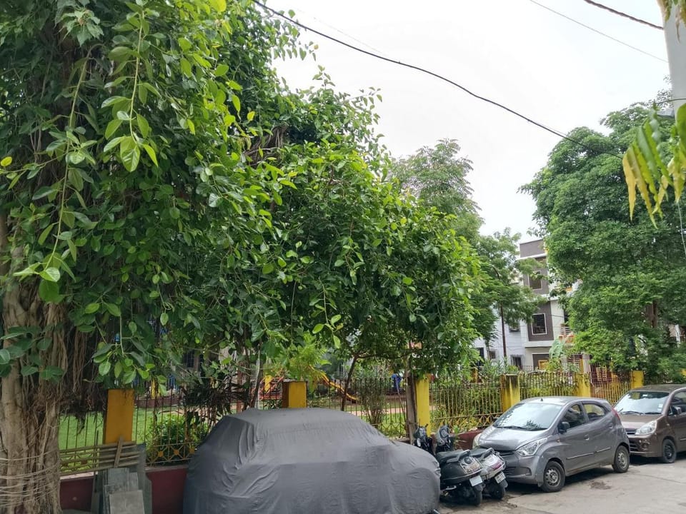 Maa Shakambhari Homestay Vacation rental in India
