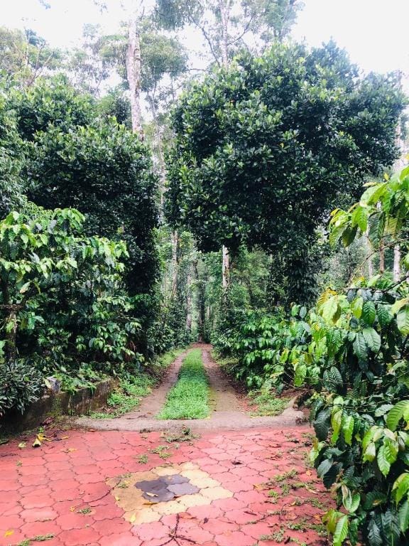 Swapna Estate Stay Coorg Hotel in Kerala