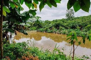 Farm Stay Accommodation Vacation rental in Dalat