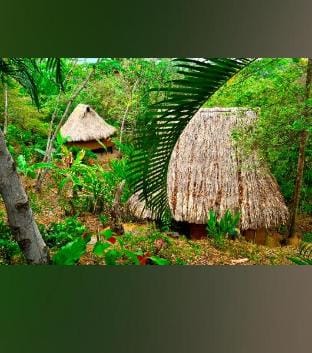 Posadas ecoturisticas san Rafael  Vacation rental in Magdalena, Colombia