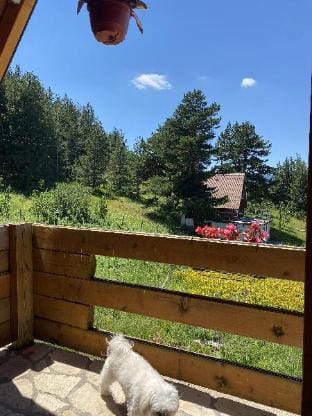 Paradise Zabljak perfect getaway Vacation rental in Montenegro
