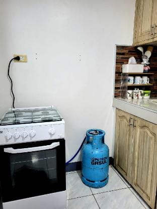 Mr. B's Guest House(Exclusive Stay)SanFernando Cbu Vacation rental in Central Visayas
