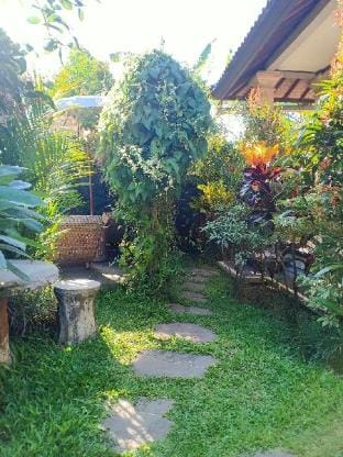 Ubud Apartments Apartment in Ubud