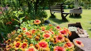 Samcheok Ttrak Pension Bed and Breakfast in South Korea