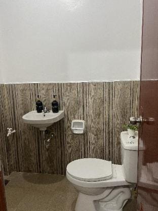 Triple Beagle Apartment  Apartment in Siargao Island