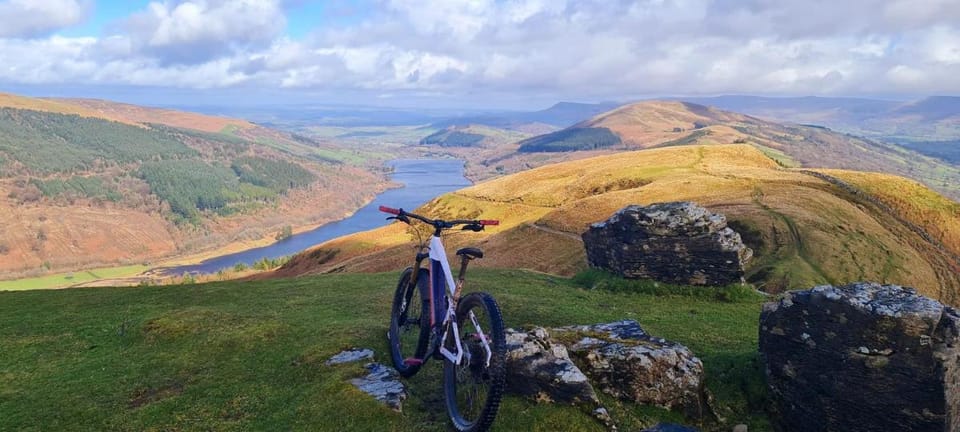 Charming Shepherd's Cottage, Pets Welcome,Parking Vacation rental in Wales