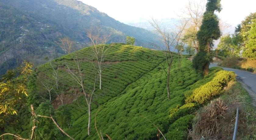 Vamoose Poomong Vacation rental in West Bengal