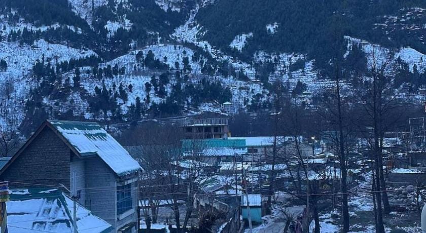 Locals Manali - Bagpackers Paradise Hotel in Himachal Pradesh