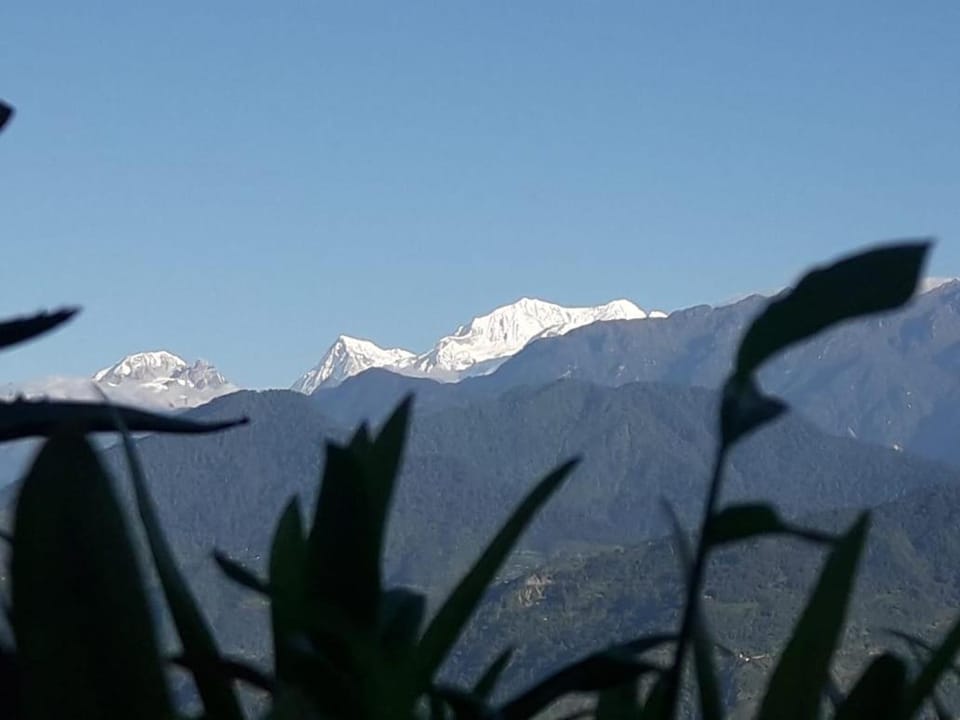 Soshing Homestay Vacation rental in India