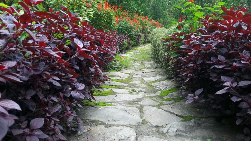 Vamoose Rajalim Homestay Vacation rental in West Bengal
