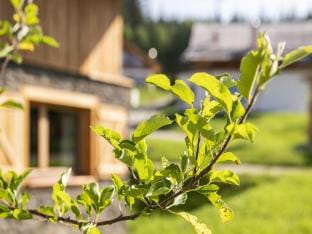 Chalet in Wolting with natural swimming pond Vacation rental in Salzburgerland
