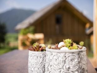 Chalet in Wolting with natural swimming pond Vacation rental in Salzburgerland