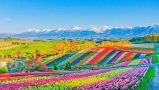Naka Furano-cho, Hill House A Vacation rental in Hokkaido Prefecture