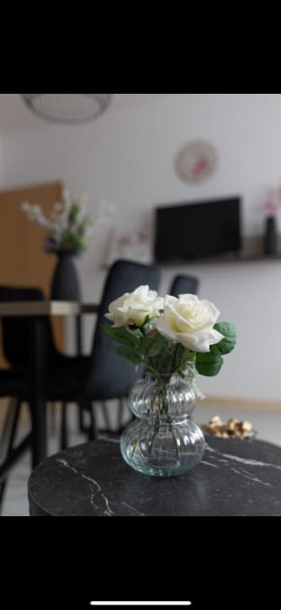 Taya Apartment in Mostar