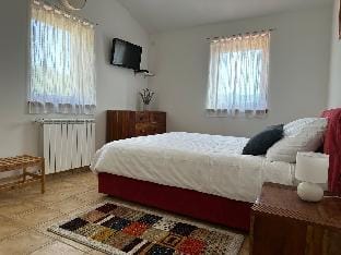 Villa Vicani - Apartment 2 Villa in Istria County
