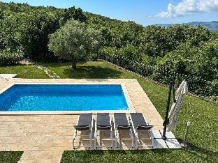 Villa Vicani - Apartment 1 Villa in Istria County