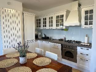 Villa Vicani - Apartment 1 Villa in Istria County