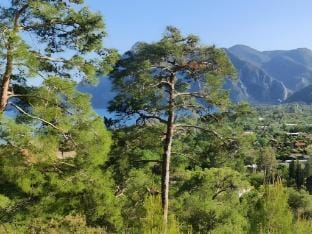 Chimera Park Apart  Villa in Antalya Province