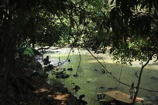 วังหญ้าคาอินเลิฟ Campground/ 
RV Resort in Thailand