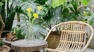 Sisan Home 294 Kim Mã Ban công thư giãn Vacation rental in Hanoi