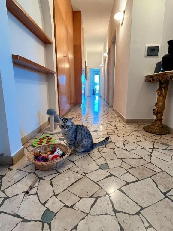 Florence: Room in the house with owner and cat Apartment in Florence